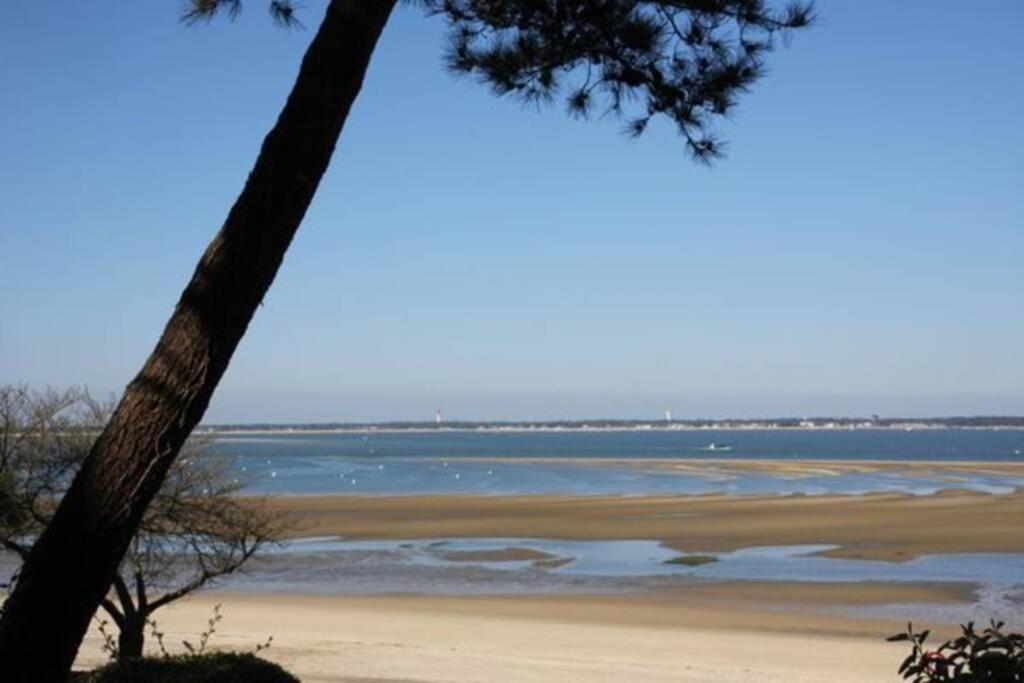 Appart Sur La Plage Pied Dans L Eau Avec Terrasse Jardin Vue Sur Le Bassin Depuis La Terrasse , Parking Arcachón Exterior foto