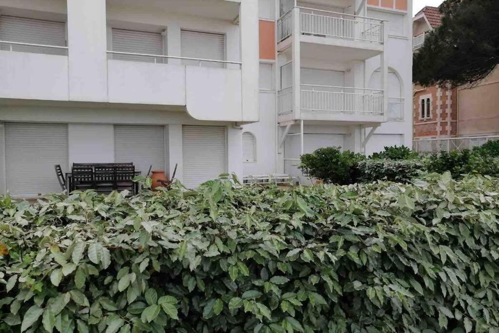 Appart Sur La Plage Pied Dans L Eau Avec Terrasse Jardin Vue Sur Le Bassin Depuis La Terrasse , Parking Arcachón Exterior foto